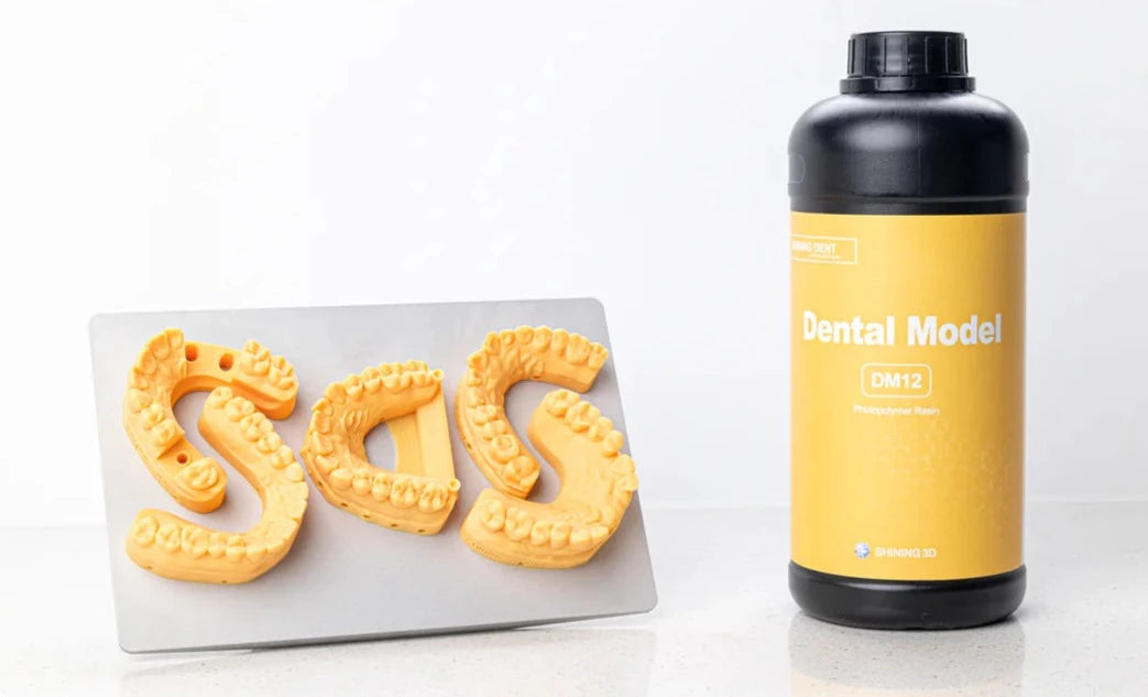 Dental Model DM12 1kg