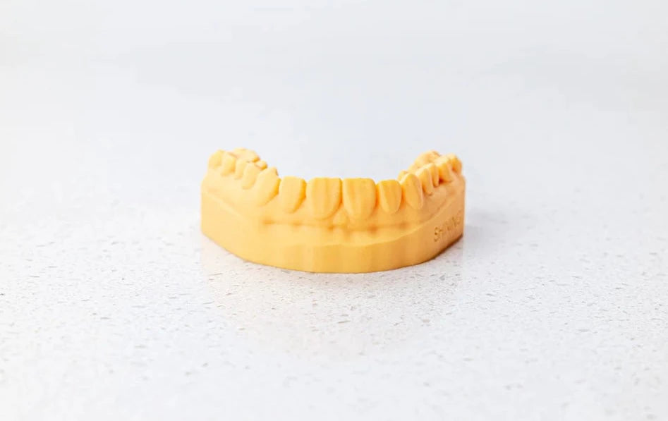 Dental Model DM12 1kg