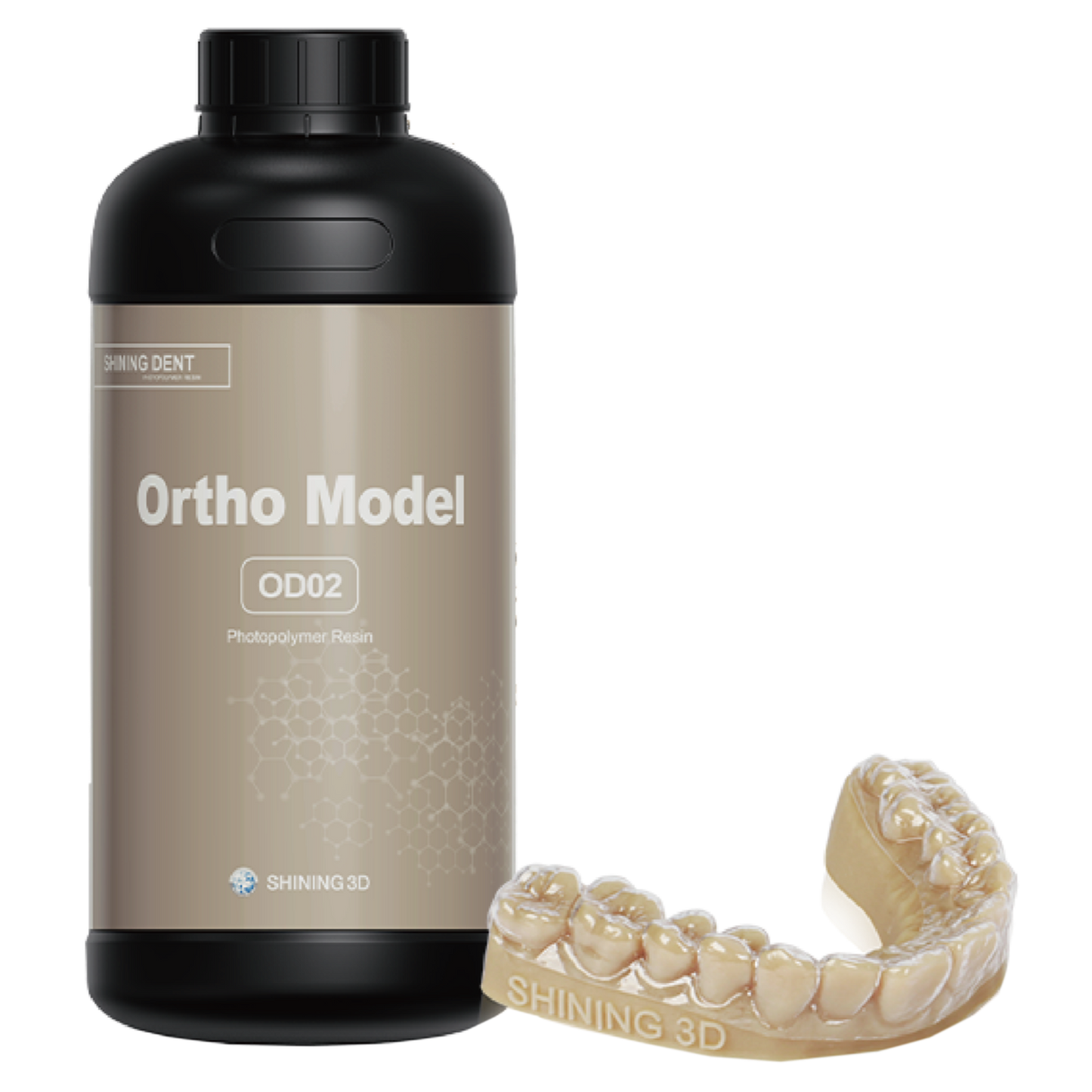 Ortho Model OD02 1kg